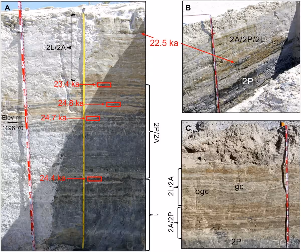 Sediment Layers At White Sands Sampled For Radiocarbon Dating.