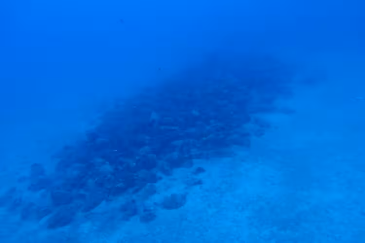 A Cluster Of Amphorae Lying 44 Meters Underwater