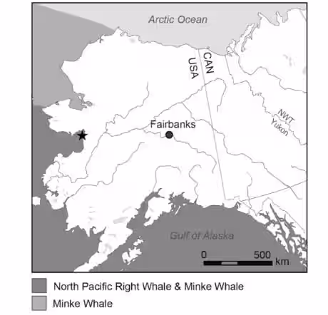 Map Of Alaska Showing Whale Find Locations; Star Marks The Fairbanks Site.