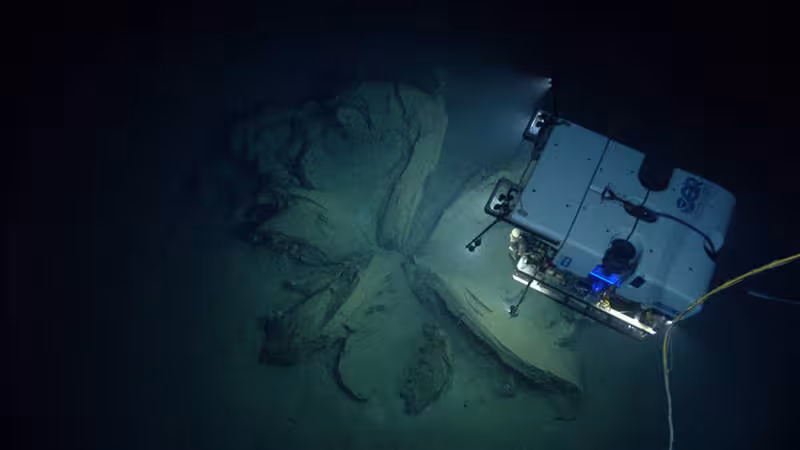 After documenting the first asphault extrusion, D2 investigated a second sonar anomaly which turned out to be another tar lily. After documenting the first asphault extrusion, D2 investigated a second sonar anomaly which turned out to be another tar lily.