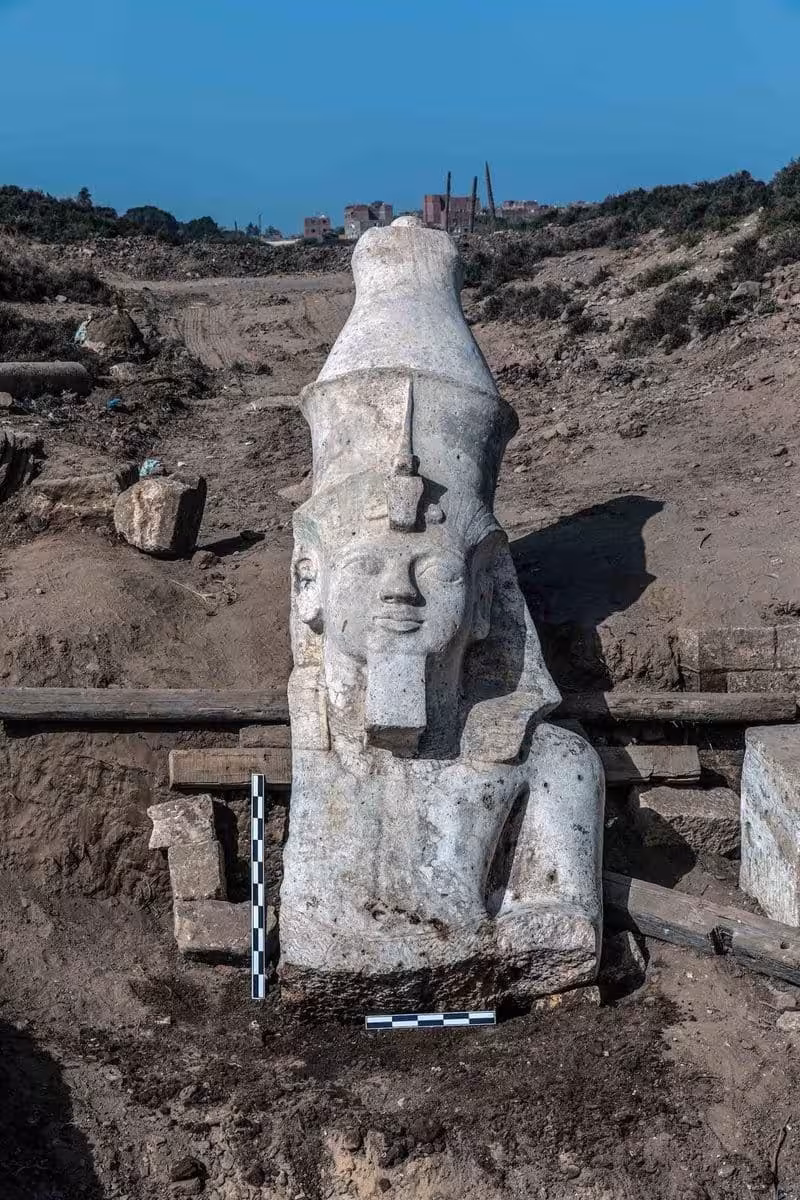 The Upper Half Of The Ramesses Ii Statue Discovered At Hermopolis Magna.
