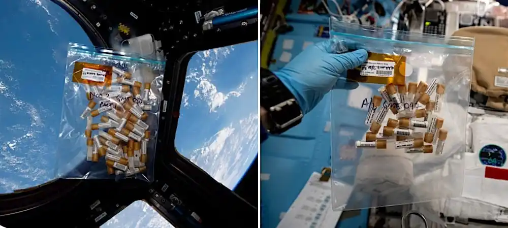The Equipment Used To Reveal The Invisible Microbial World Living Aboard The Iss.