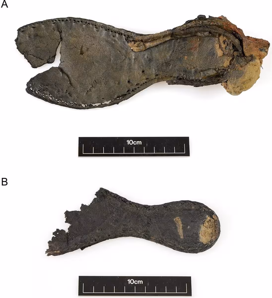 Two Shoe Fragments Found During The Survey.