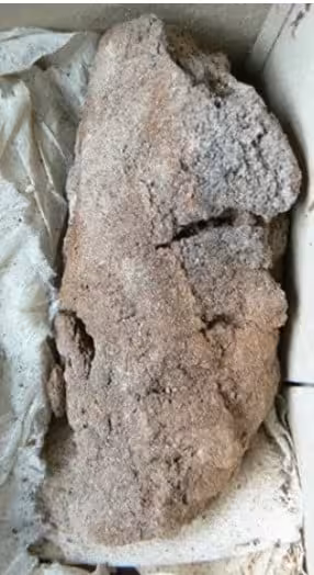A Close Up Image Shows A Heavily Degraded Organic Fragment Preserved In Fragile Condition After More Than 1,400 Years Inside The Burial Site