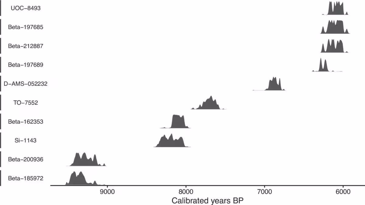 Pnas.2607964123fig01