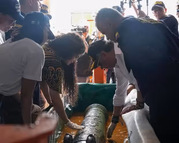 Colombian President Gustavo Petro (centre) Views A Cannon Recovered From The Sunken San José.