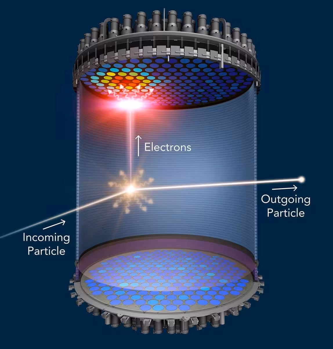 Illustration Of A Particle Interaction Inside The Lux Zeplin (lz) Detector.