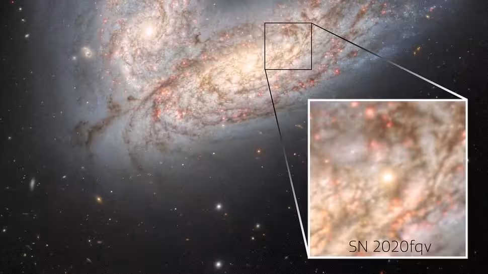 A Bright Supernova Spot Reveals Sn 2020fqv In Ngc 4568.