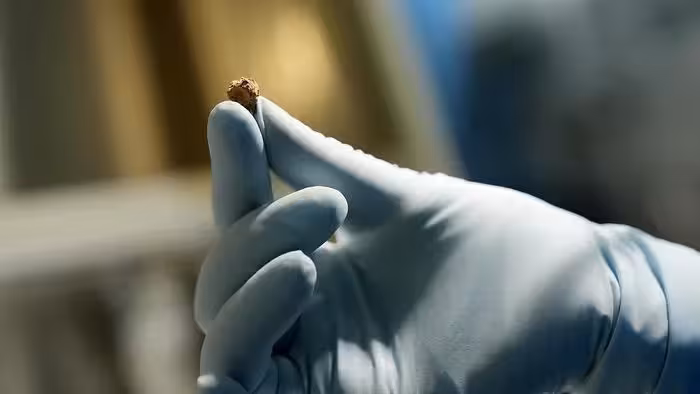 hand