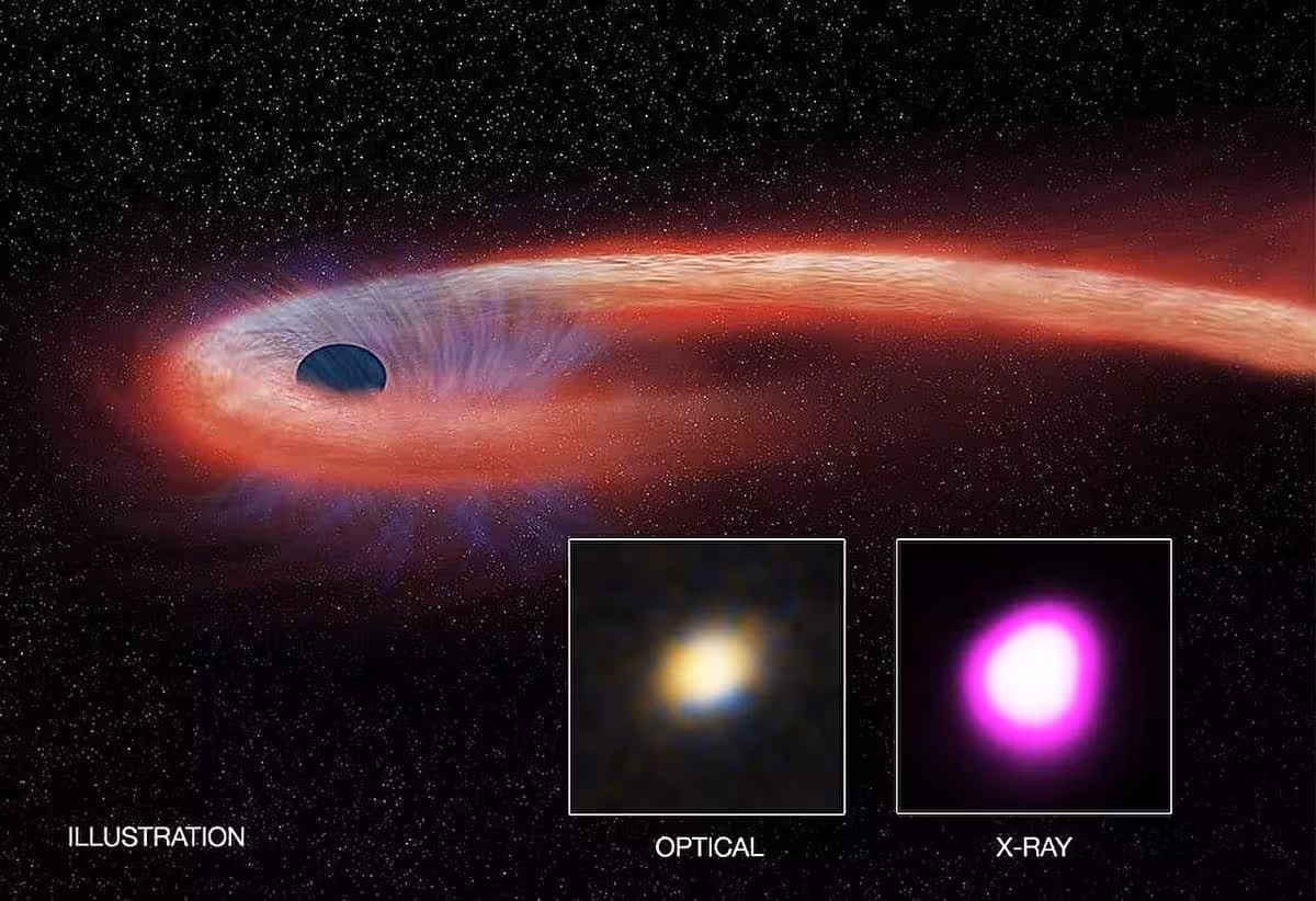 Black Holes From Stell