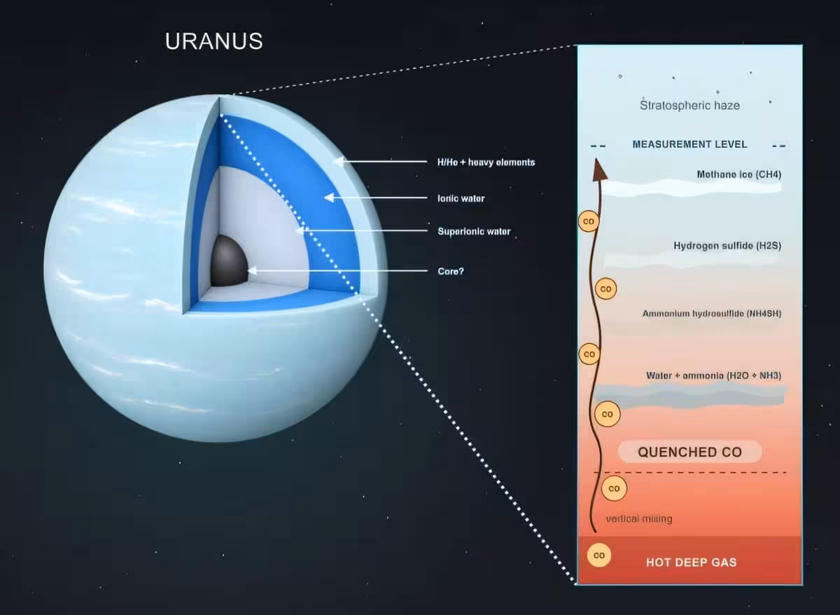 Uranus And Neptune May