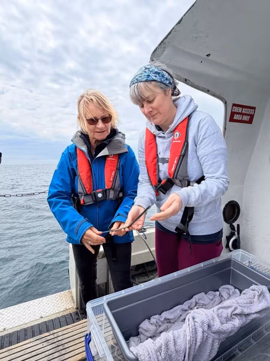 Experts Examine A Bronze Age Sword Recovered From The Seabed.