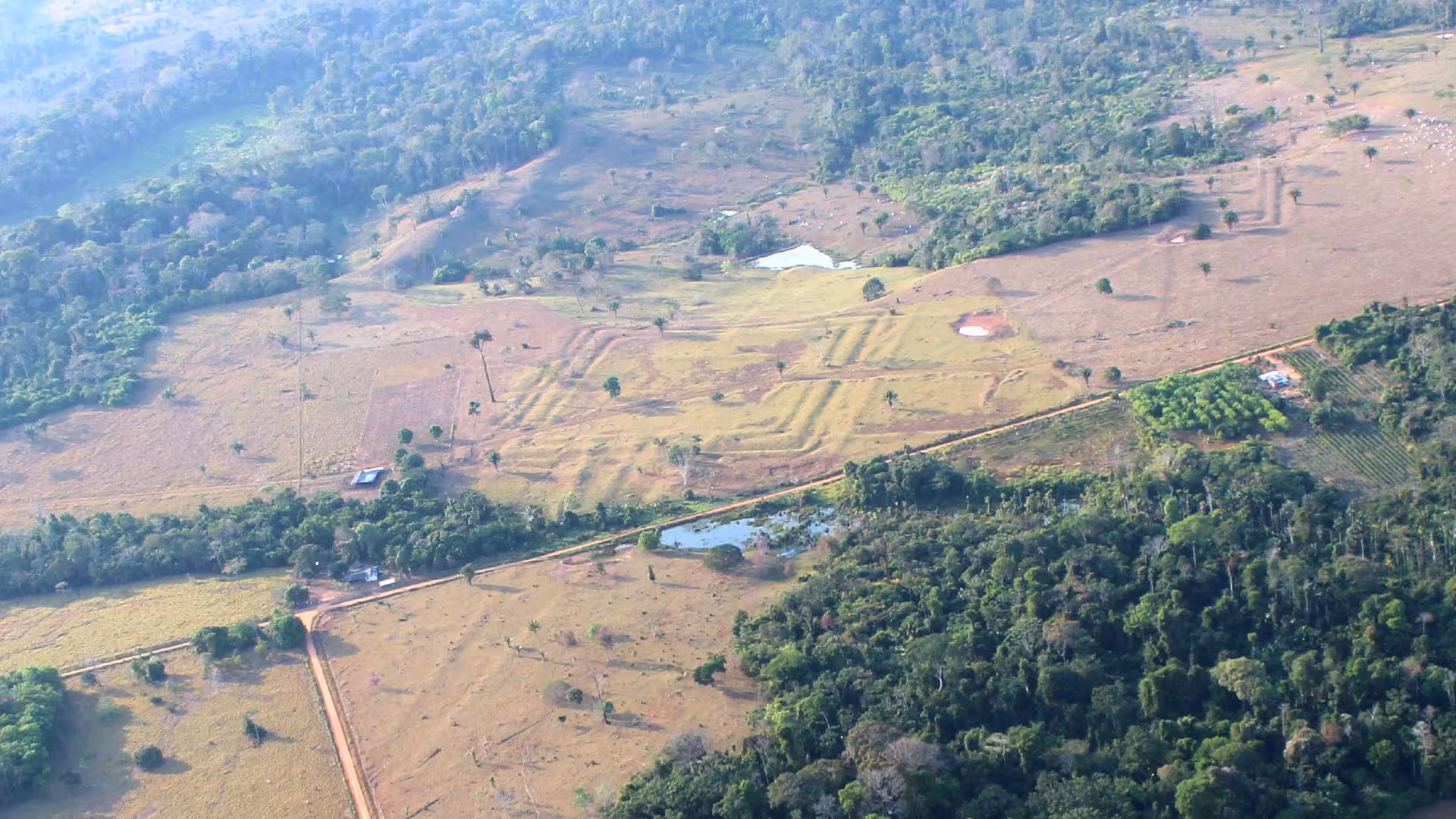 aerial image of a geometric geoglyph in a heavily forested area of Brazil