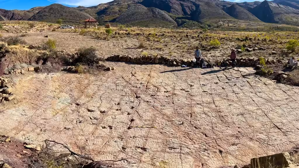 Fossilized Dinosaur Tracks Cover The Carreras Pampa Site In Bolivia