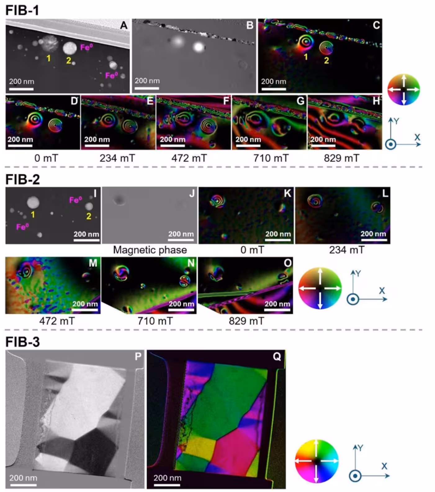 Magnetic domain states of lunar iron grains, showing their structure, magnetic vortices, induction patterns, and changes in nanoparticle magnetization under increasing magnetic fields.