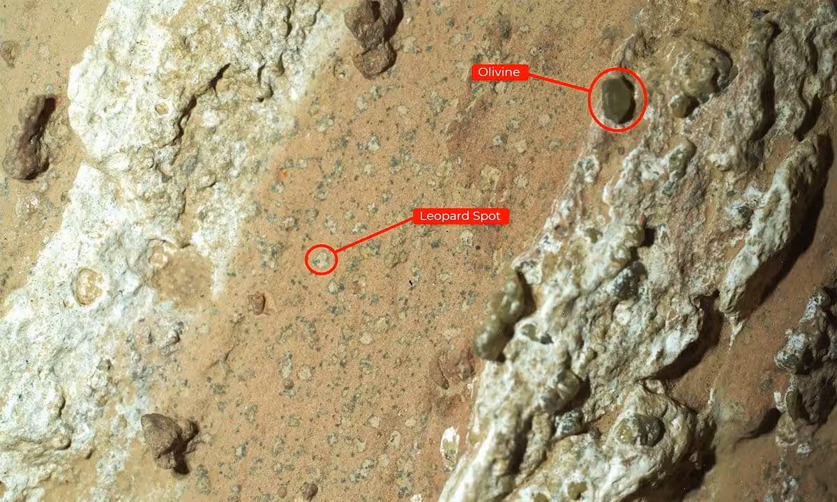 An Annotated Version Of The Image Of “cheyava Falls” Indicates The Markings Akin To Leopard Spots
