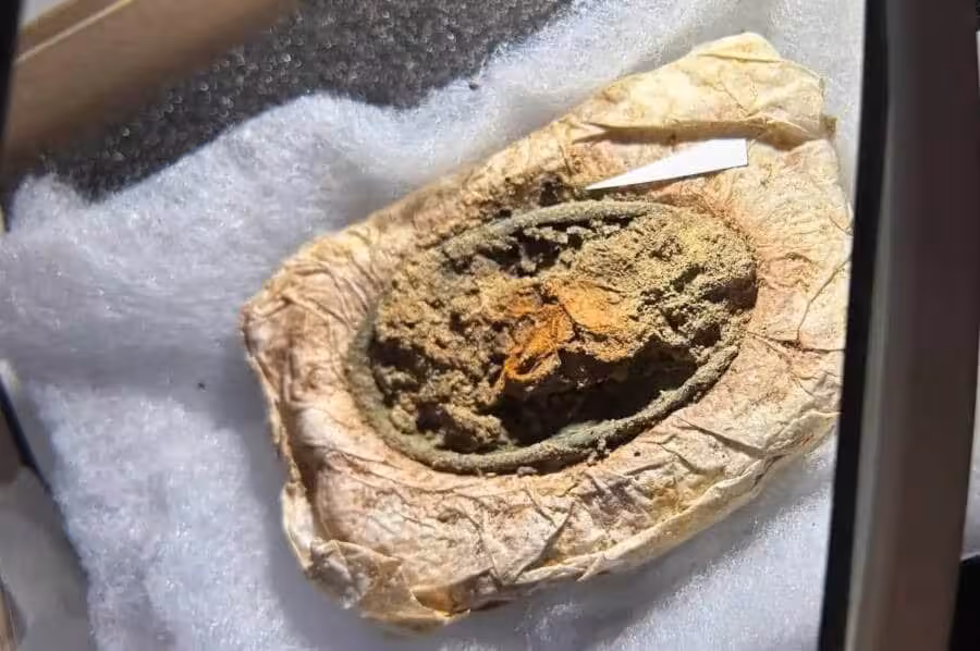 Ancient Viking Jewelry Discovered With Rare Traces Of Preserved Fabric.