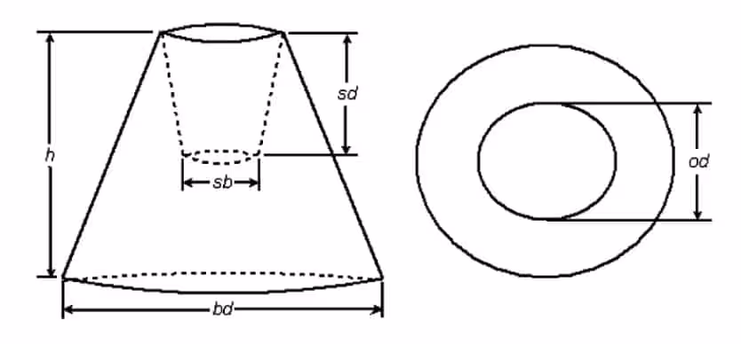 Growth Model Measurements For The Giant Barrel Sponge (xestospongia Muta).