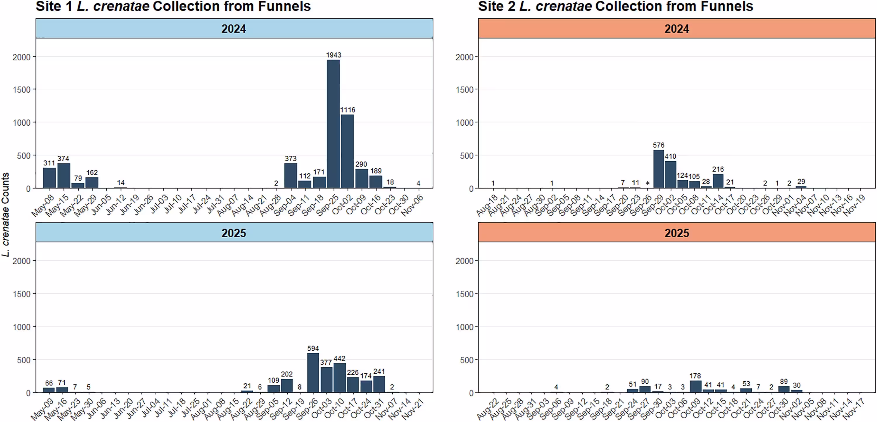 Fig 2: Total number of Litylenchus crenatae collected in funnel stands during the 2024 and 2025 seasons at (Left) Site 1 and (Right) Site 2 locations. * Note: No samples were collected at Site 2 on September 26, 2024, because the funnel traps were knocked over.
