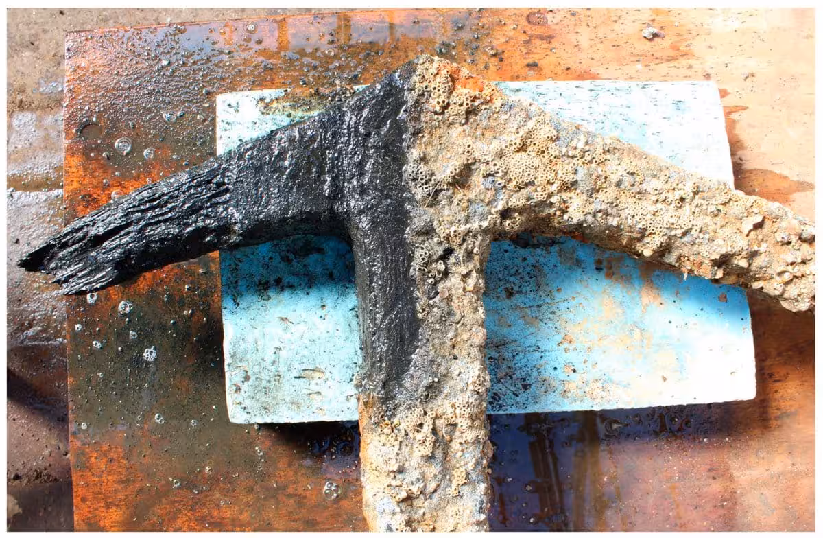 Close Up Of The Roman Anchor Showing Preserved Wooden And Iron Components After Its Recovery