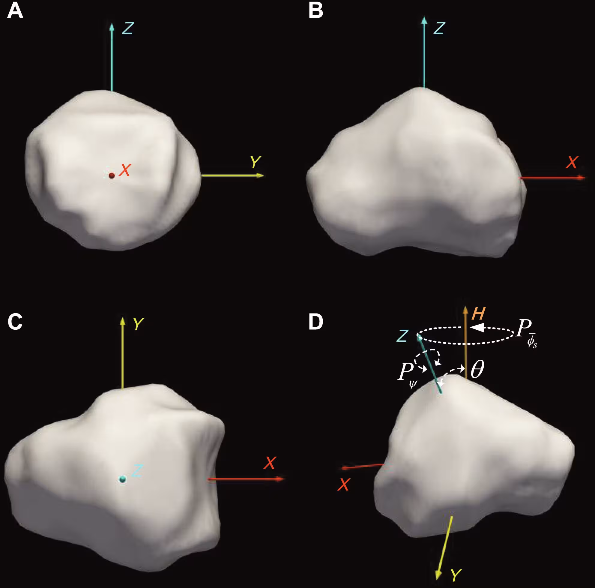 Shape and spin state of Apophis. (A to C) Nonconvex shape model based on radar [10]. (D) Short-axis tumbling period convention for Apophis.