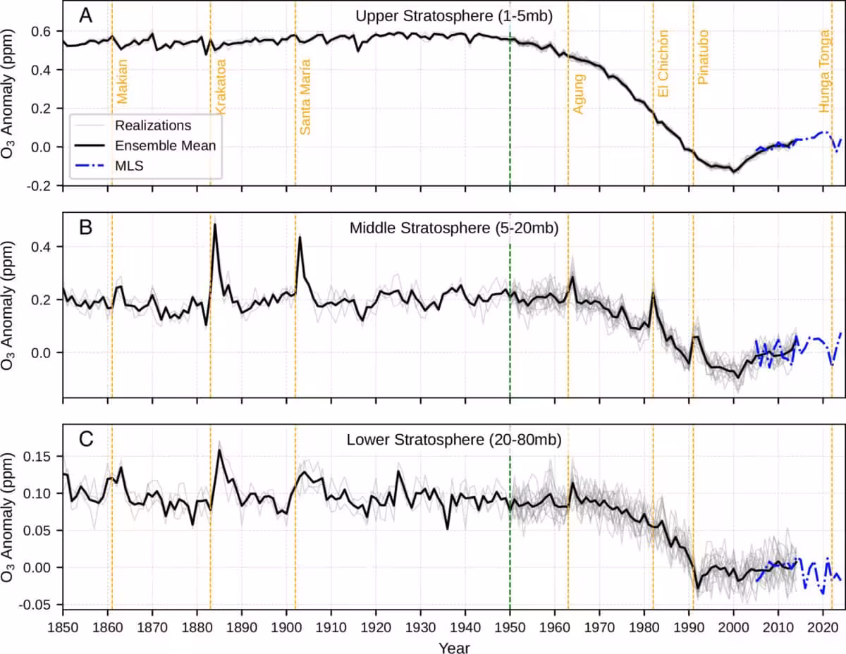 Pnas.2608286123fig01
