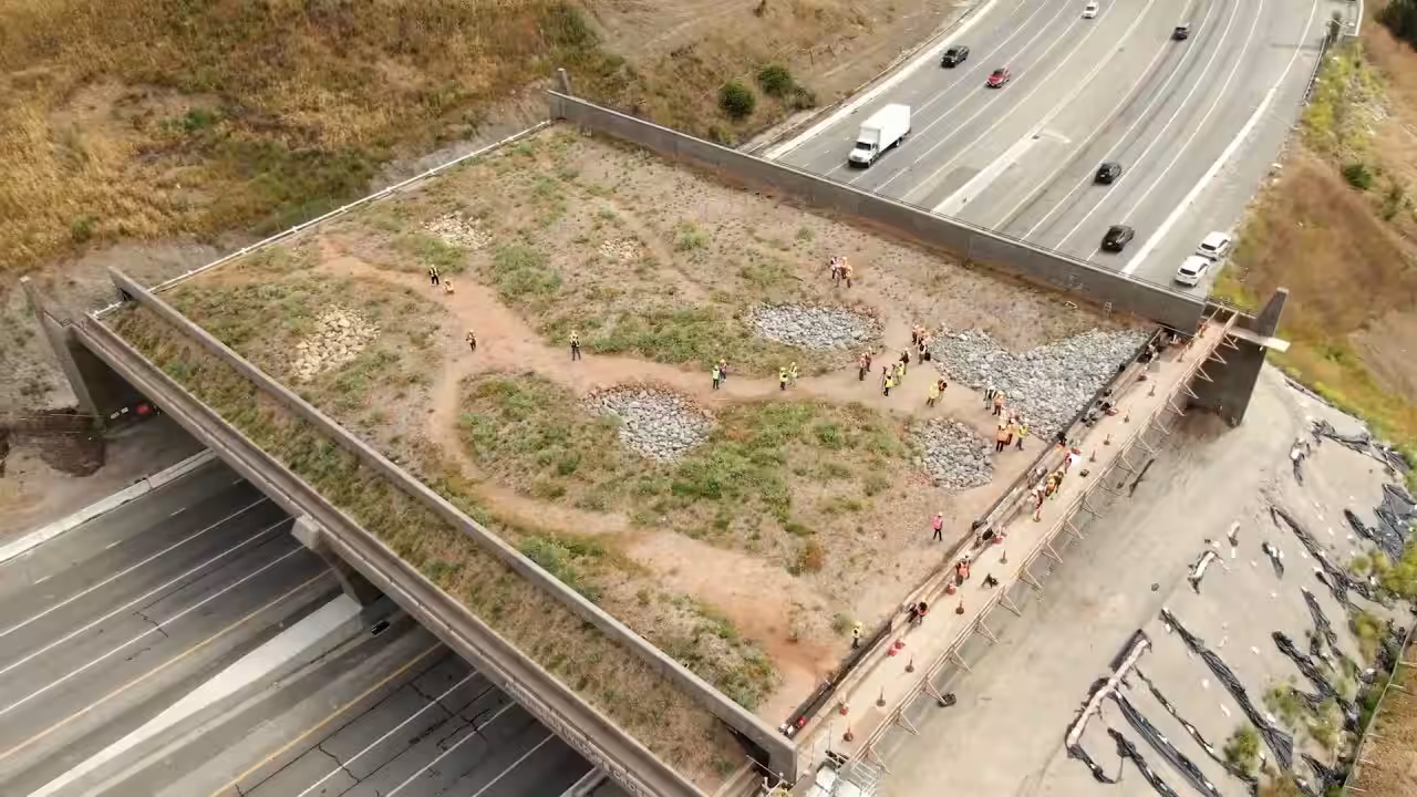 Wallis Annenberg Wildlife Bridge