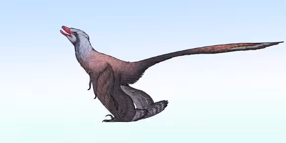 Artist’s Reconstruction Of Changzhousaurus Sinensis