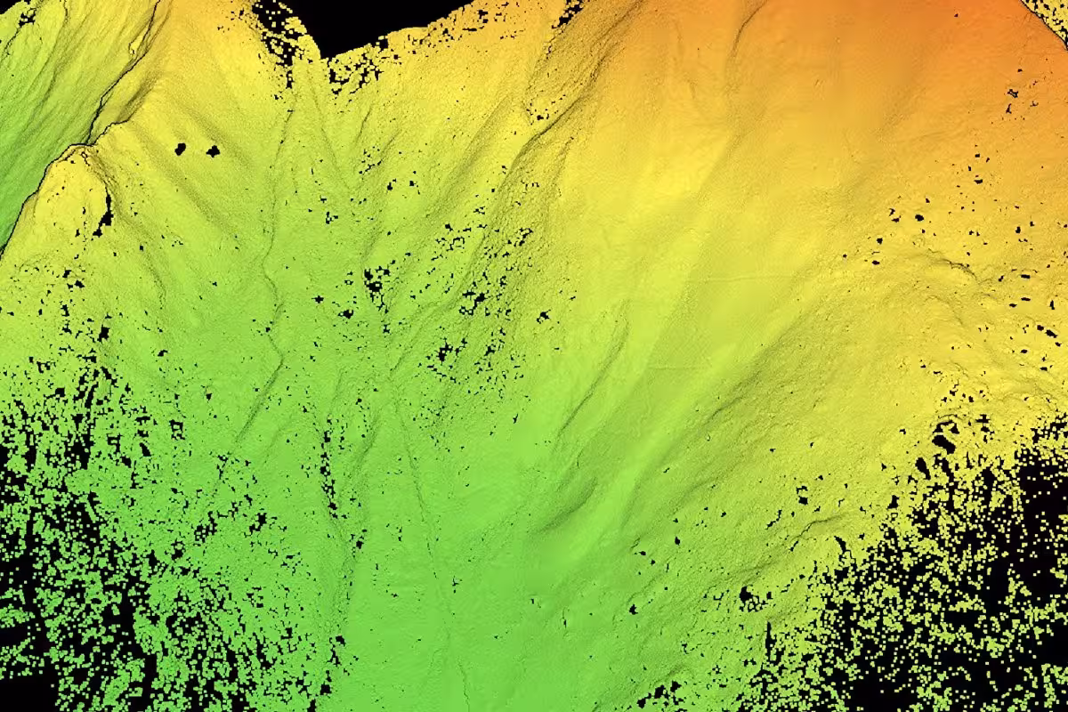A LiDAR view of the terrain beneath the forest.