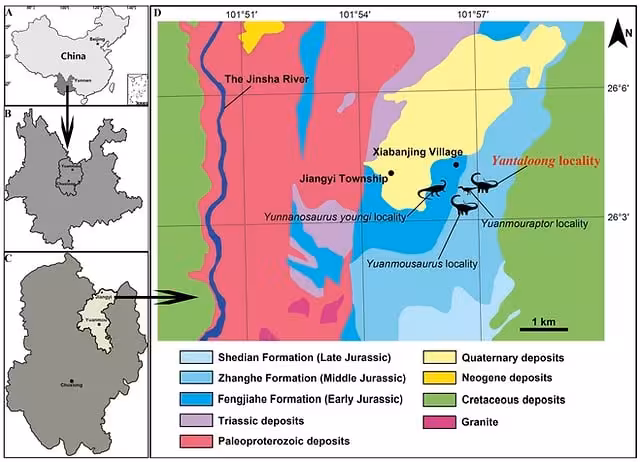 Location Map Of The Yantaloong Fossil Site In Yunnan, China, Showing Its Position Within Early Jurassic Geological Formations.