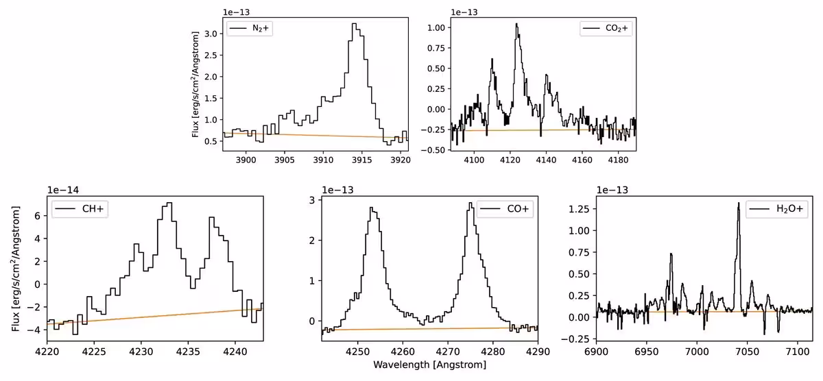 Stag1402fig3