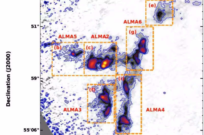 Alma Spots A Nine Memb