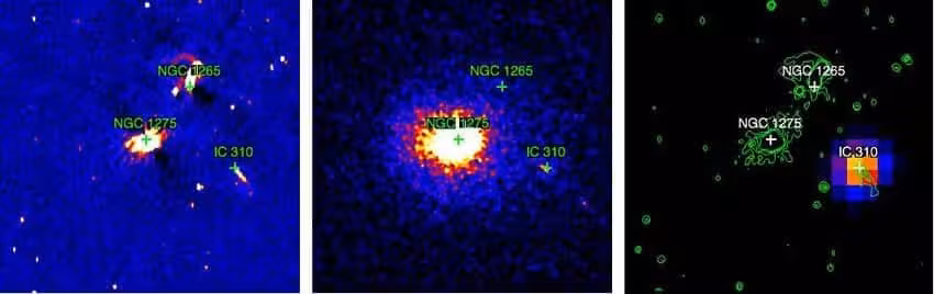 Multiwavelength Views Of The Perseus Galaxy Cluster In Radio, X Ray, And Optical Observations.