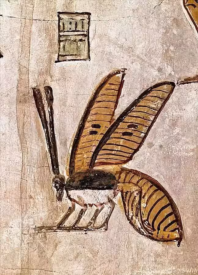 A Remarkably Preserved Depiction Of A Bee From Ancient Egypt, Where Honey Was Already A Prized Natural Product.