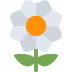 🌼