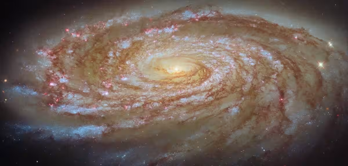 Hubble M88 Potm2605a