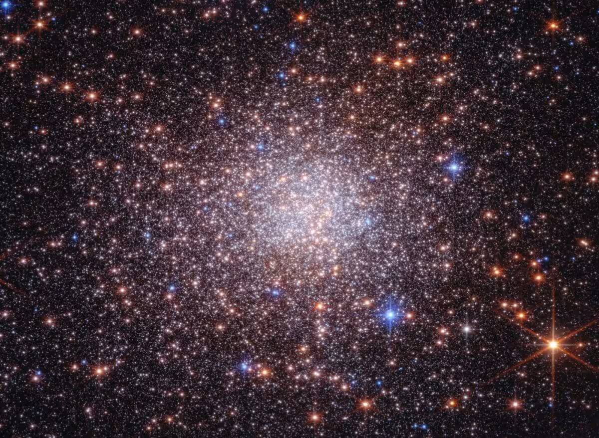 A Stellar Fossil Hidden In The Galactic Bulge