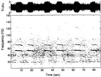Spectrogram And Waveform Of The 52 Hertz Whale