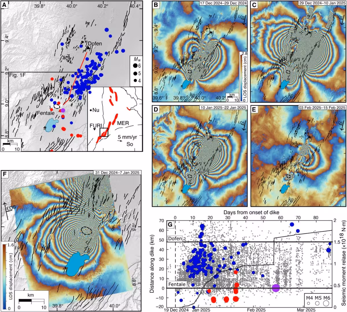 Insar Satellite Data Showing Ground Deformation Caused By A Massive Underground Magma Intrusion Beneath Ethiopia’s Fentale Volcanic System.