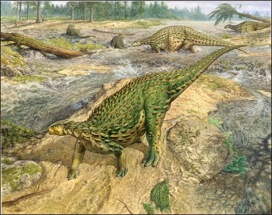 Artist’s Reconstruction Of Scelidosaurus