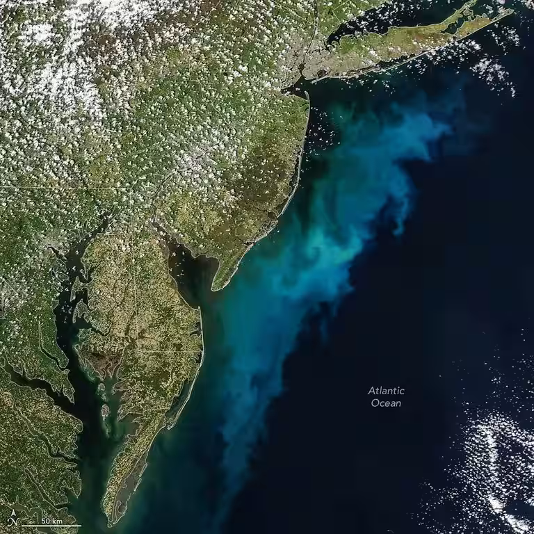 Swirling Phytoplankton Colors The Atlantic Waters