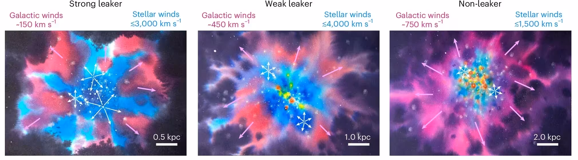 Illustration of the LyC escape sequence alongside the launch of a multiphase galactic wind in compact, star-forming galaxies, inferred from stellar and galactic absorption features.