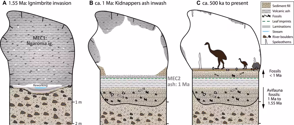 Schematic Diagrams Showing How Moa Eggshell Cave Evolved Over Time