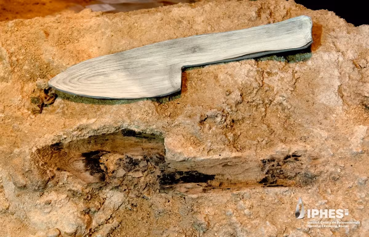 An Unusual Prehistoric Imprint Reveals A Mysterious Club Like Object