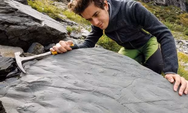Field Researcher Documenting Ancient Footprints In Stone.