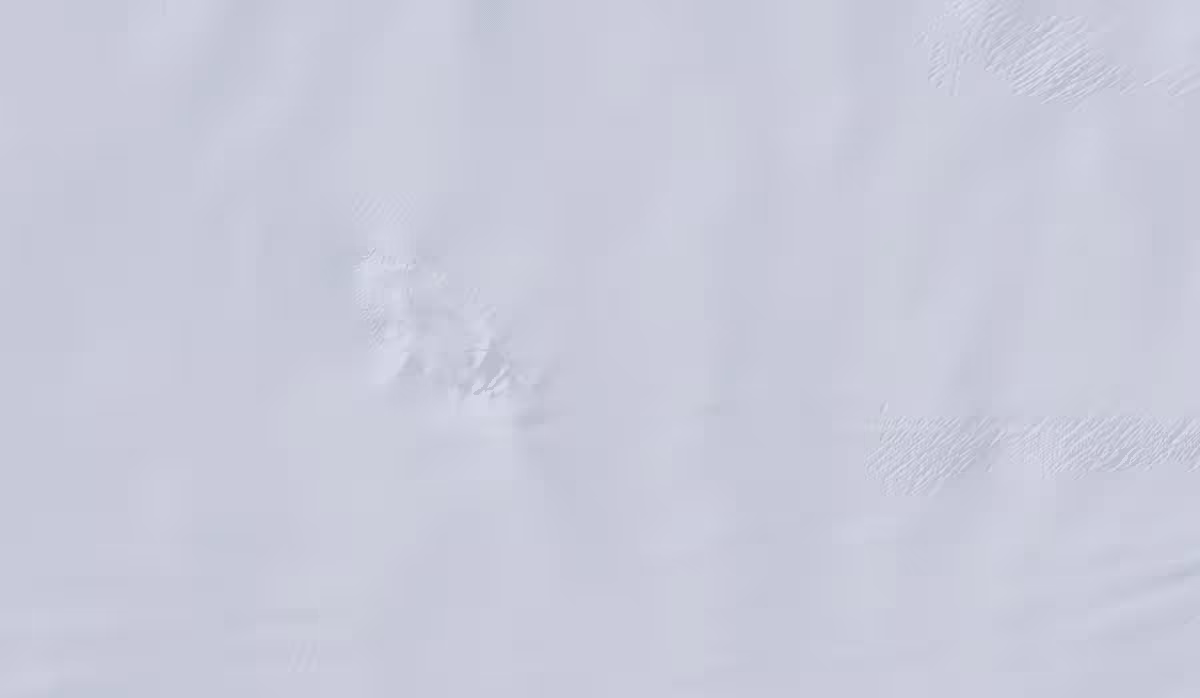 E Nunatak Landsat.width 1320
