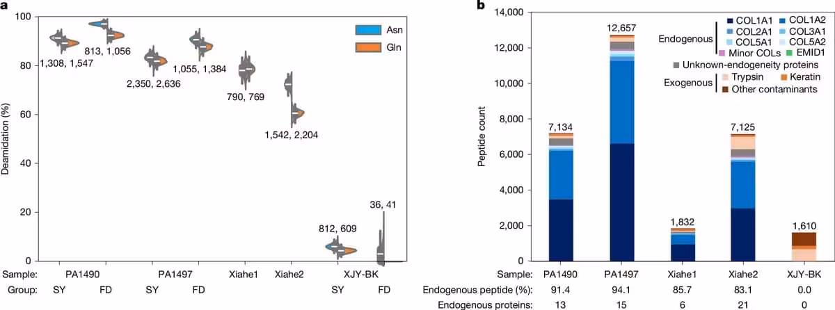 Ancient Protein Preservation And Peptide Composition In Fossil Samples.