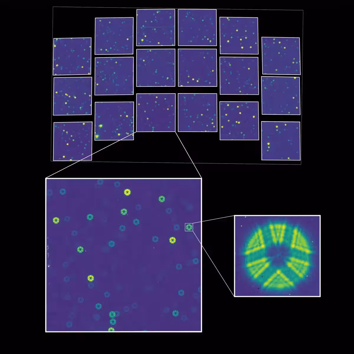 Nasa’s Nancy Grace Roman Space Telescope Captured These Early Test Images Of Star Fields Before Its Camera Was Fully Calibrated.