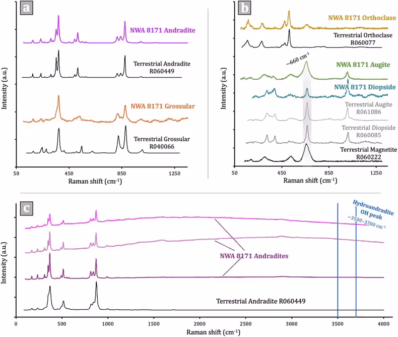 Raman Spectra Reveal The Mineral Composition Of The Unusual Rock Fragment Found In Martian Meteorite Nwa 8171