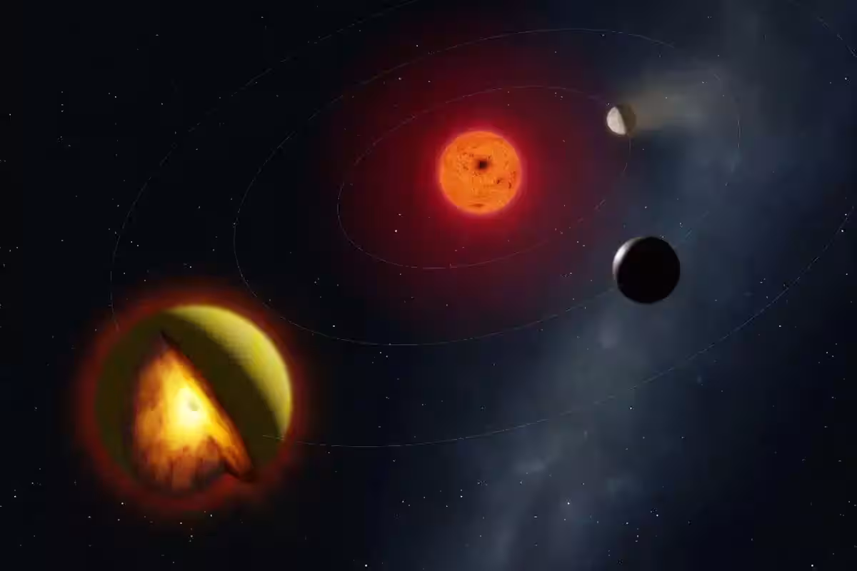 L 98 59 D Exoplanet